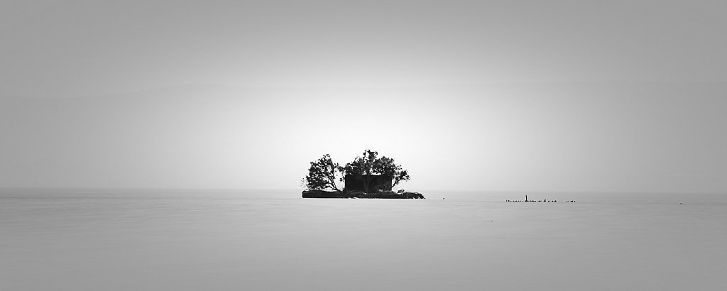 Mer 79