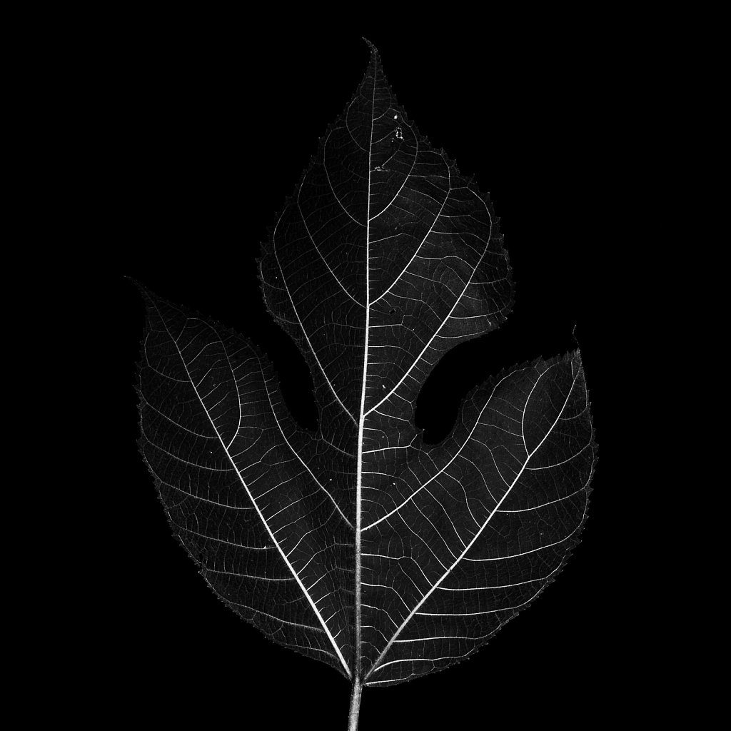 Nature 189