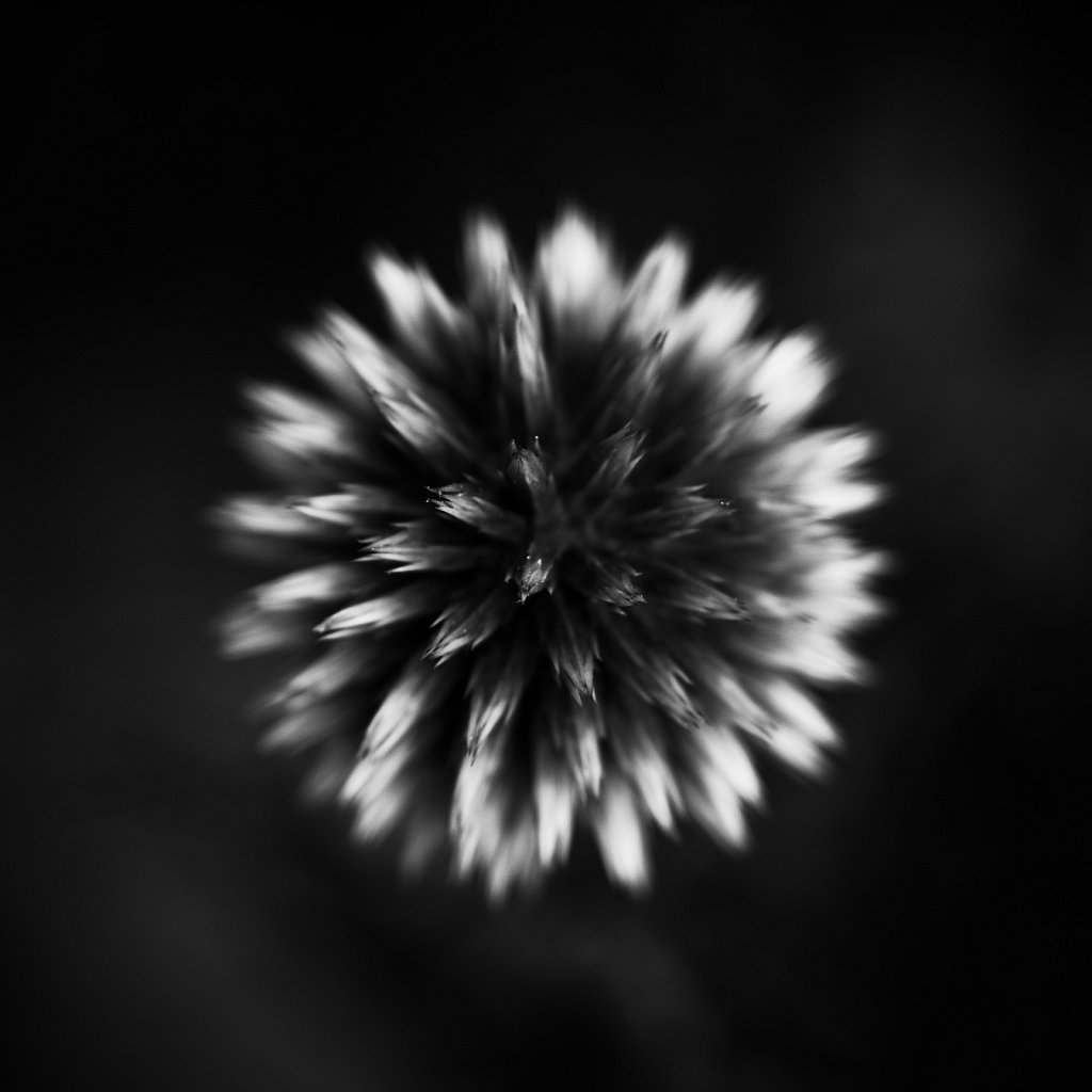 Nature 198