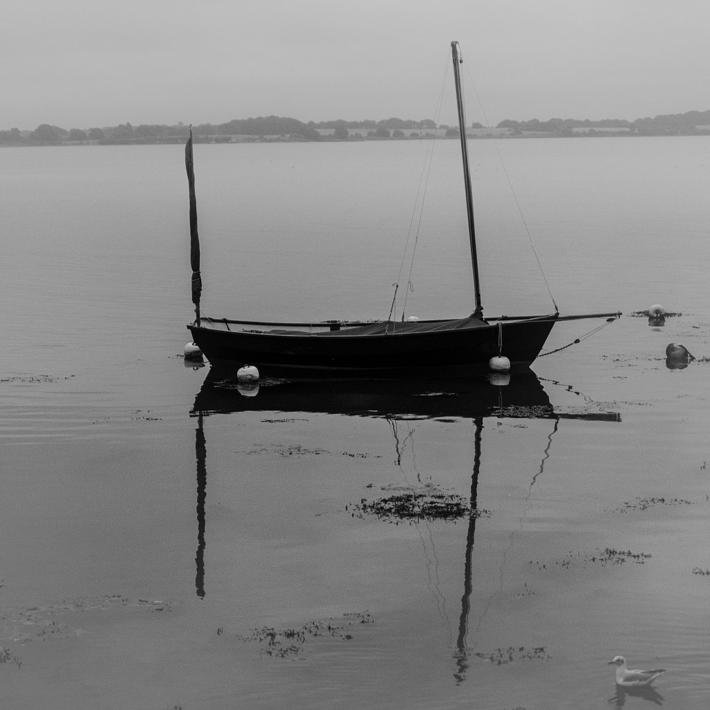 Mer 307
