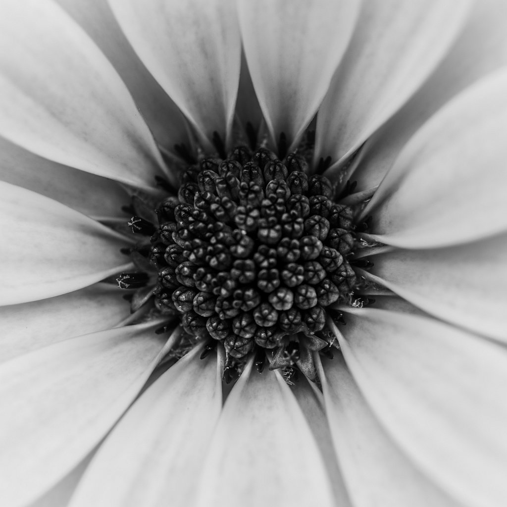 Nature 311