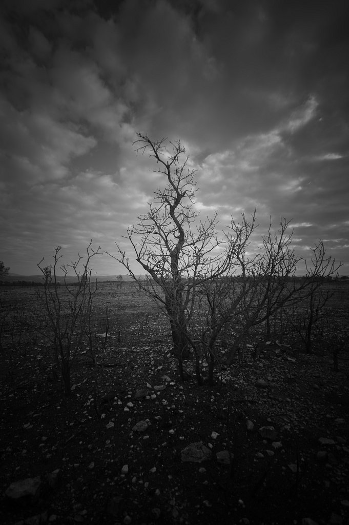 Vitrolles - 353
